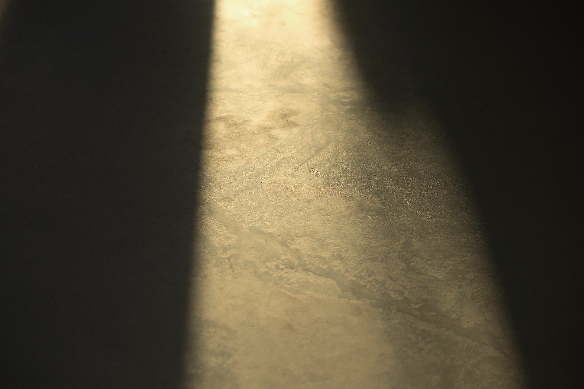 Microcement texture detail with sunbeam